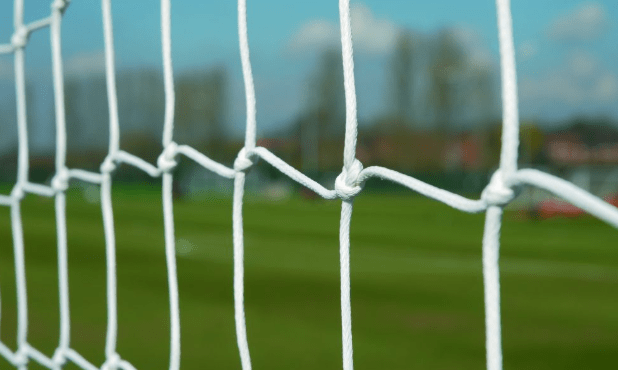 SyntheticPro Goal Net